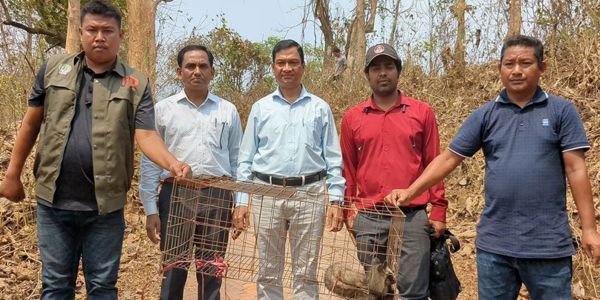 খাগড়াছড়িতে বিপন্ন বনপ্রাণী গন্ধগোকুল উদ্ধার